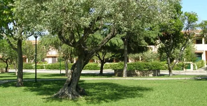 Bilocale Al Villaggio Degli Ulivi Daire San Teodoro (Sardinia)